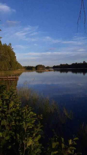 Фото номера Шале с двумя спальнями Шале Kotalahden mökki г. Kotalahti 49