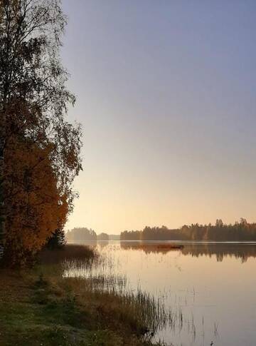 Фото номера Шале с двумя спальнями Шале Kotalahden mökki г. Kotalahti 94